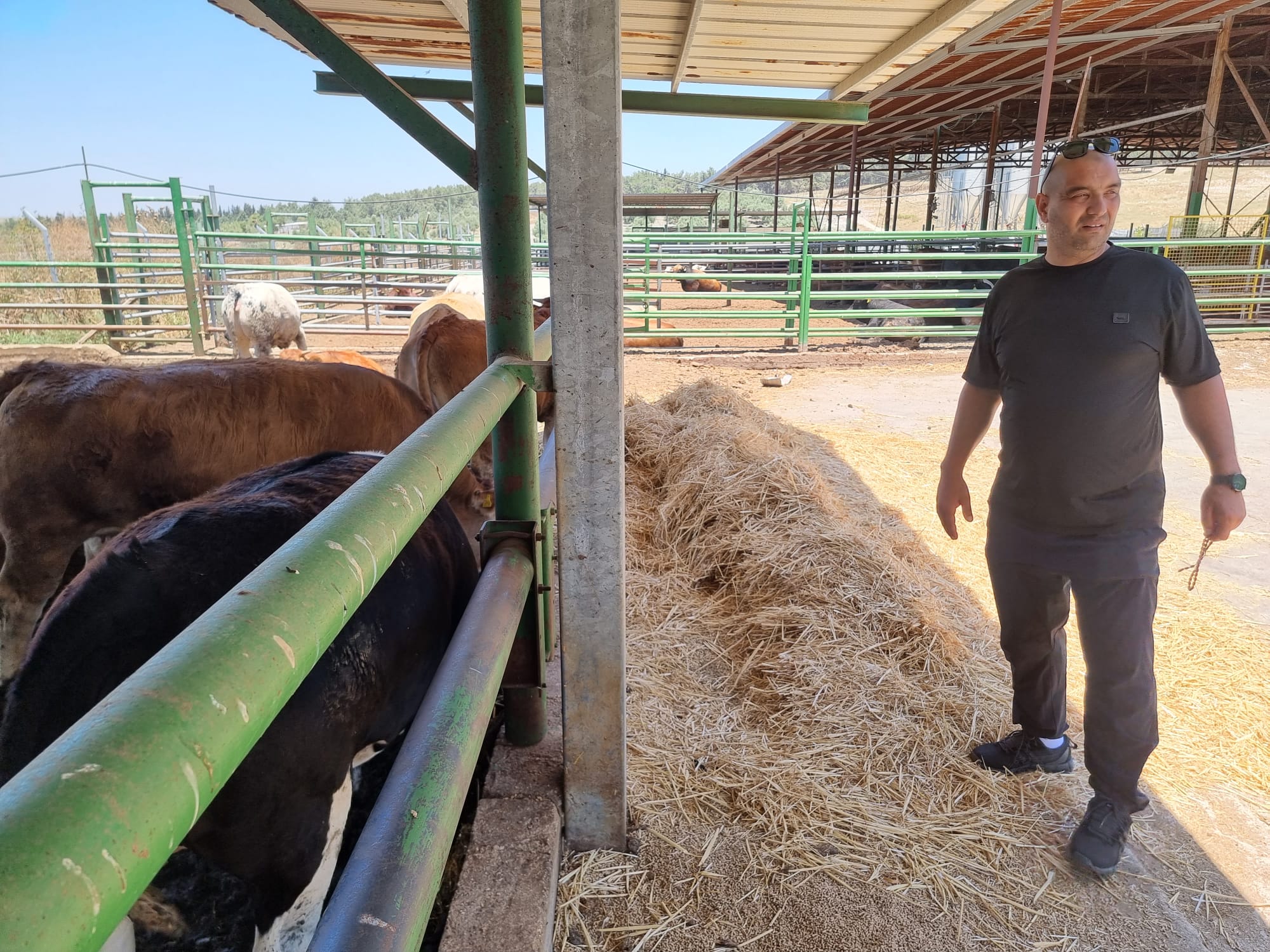 WhatsApp Image 2022-06-04 at 1.19.52 PM (2).jpeg